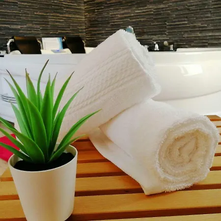 Loft Romantique Avec Privatif - Noctambulles
